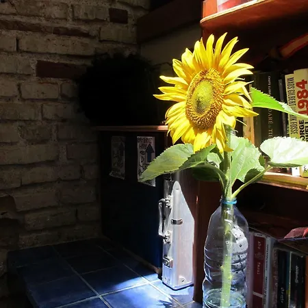 Casa Caracol Auberge de jeunesse